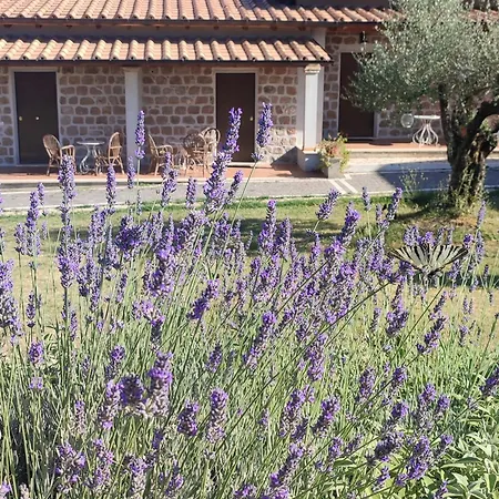 Çiftlik konaklama Grotta Biscia Genazzano